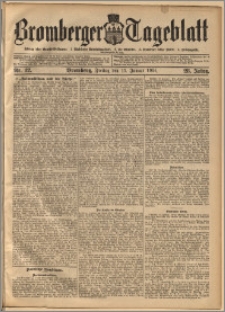Bromberger Tageblatt. J. 28, 1904, nr 12