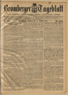 Bromberger Tageblatt. J. 28, 1904, nr 245