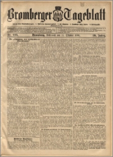 Bromberger Tageblatt. J. 29, 1905, nr 239