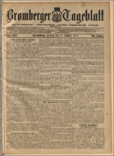 Bromberger Tageblatt. J. 29, 1905, nr 253