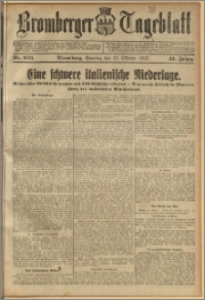 Bromberger Tageblatt. J. 41, 1917, nr 253