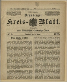 Bromberger Kreis-Blatt, 1873, nr 3