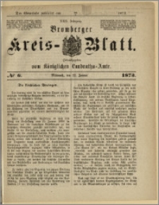 Bromberger Kreis-Blatt, 1873, nr 6