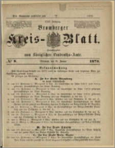 Bromberger Kreis-Blatt, 1873, nr 8