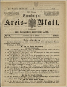 Bromberger Kreis-Blatt, 1873, nr 9