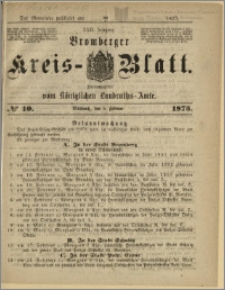 Bromberger Kreis-Blatt, 1873, nr 10