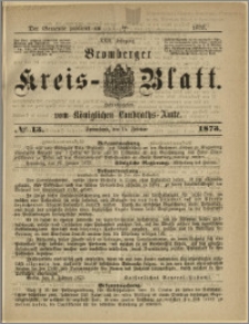 Bromberger Kreis-Blatt, 1873, nr 13