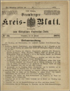 Bromberger Kreis-Blatt, 1873, nr 15