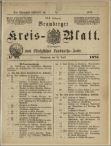 Bromberger Kreis-Blatt, 1873, nr 33