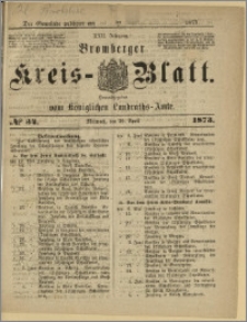 Bromberger Kreis-Blatt, 1873, nr 34