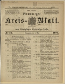 Bromberger Kreis-Blatt, 1873, nr 35