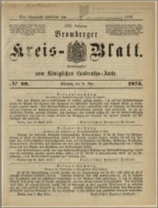 Bromberger Kreis-Blatt, 1873, nr 40