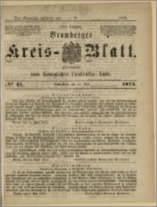 Bromberger Kreis-Blatt, 1873, nr 41