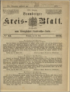 Bromberger Kreis-Blatt, 1873, nr 42