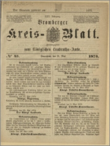 Bromberger Kreis-Blatt, 1873, nr 43