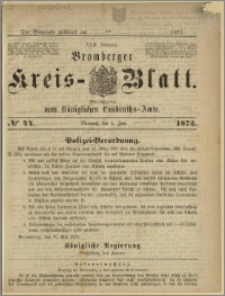 Bromberger Kreis-Blatt, 1873, nr 44