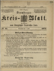 Bromberger Kreis-Blatt, 1873, nr 45
