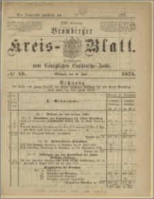 Bromberger Kreis-Blatt, 1873, nr 48