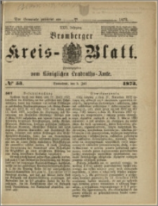 Bromberger Kreis-Blatt, 1873, nr 53