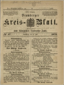 Bromberger Kreis-Blatt, 1873, nr 57