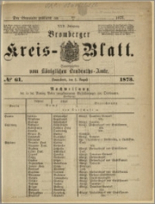 Bromberger Kreis-Blatt, 1873, nr 61