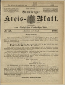 Bromberger Kreis-Blatt, 1873, nr 63