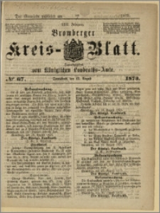 Bromberger Kreis-Blatt, 1873, nr 67