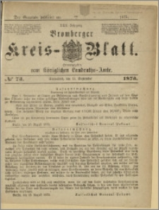Bromberger Kreis-Blatt, 1873, nr 73