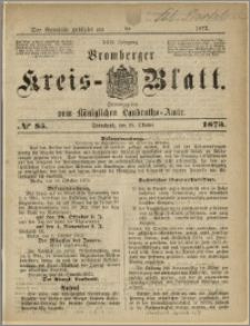 Bromberger Kreis-Blatt, 1873, nr 85