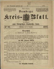 Bromberger Kreis-Blatt, 1873, nr 98
