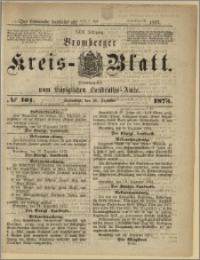 Bromberger Kreis-Blatt, 1873, nr 101