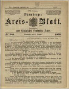 Bromberger Kreis-Blatt, 1873, nr 103