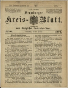 Bromberger Kreis-Blatt, 1874, nr 85