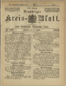 Bromberger Kreis-Blatt, 1874, nr 101