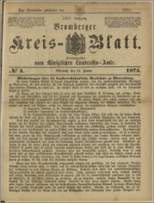Bromberger Kreis-Blatt, 1875, nr 4