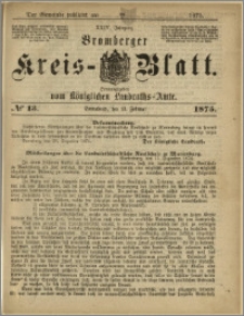 Bromberger Kreis-Blatt, 1875, nr 13