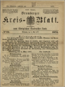 Bromberger Kreis-Blatt, 1875, nr 33