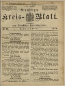 Bromberger Kreis-Blatt, 1875, nr 41
