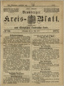 Bromberger Kreis-Blatt, 1875, nr 42