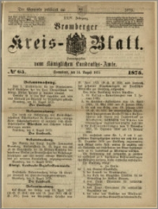 Bromberger Kreis-Blatt, 1875, nr 65