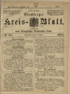 Bromberger Kreis-Blatt, 1875, nr 85