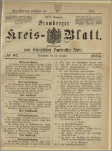 Bromberger Kreis-Blatt, 1875, nr 87