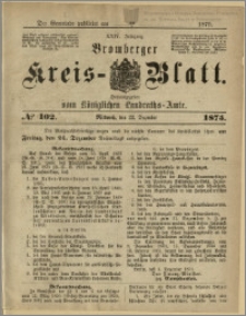 Bromberger Kreis-Blatt, 1875, nr 102