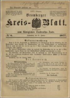 Deutsche Rundschau in Polen. J. 47, 1923, nr 6