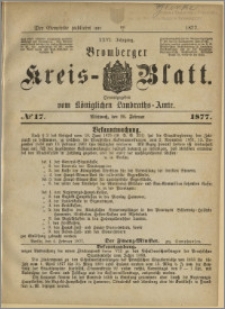 Deutsche Rundschau in Polen. J. 47, 1923, nr 17
