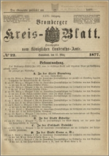 Deutsche Rundschau in Polen. J. 47, 1923, nr 22
