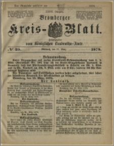 Bromberger Kreis-Blatt, 1878, nr 25