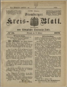 Bromberger Kreis-Blatt, 1879, nr 15