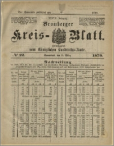 Bromberger Kreis-Blatt, 1879, nr 22