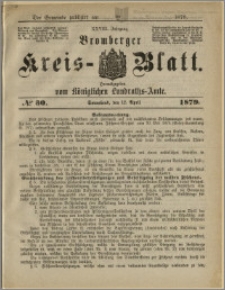 Bromberger Kreis-Blatt, 1879, nr 30